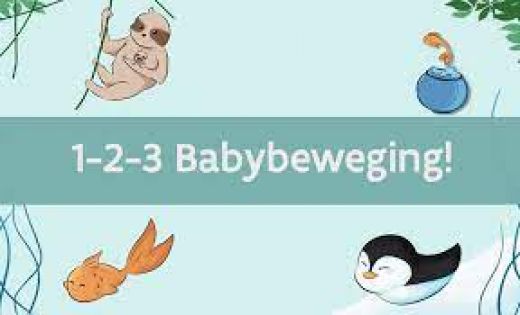 1-2-3 BabyBeweging
